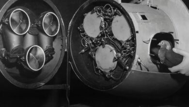 The Download: pigeons’ role in developing AI, and Native artists’ tech interpretations