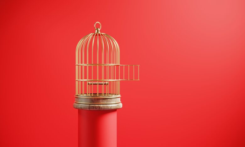 What Exactly Is a Male Chastity Cage—And Why Can It Be Such A Turn-On?