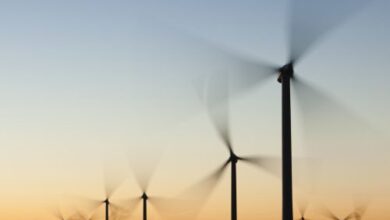 Why wind farms attract so much misinformation and conspiracy theory