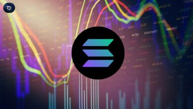 Solana Rejected Again: Pantera’s $1.25B Push Could Drive $300 Rally