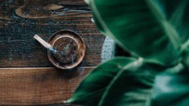 What Exactly Is Palo Santo, and How Should You Use It?