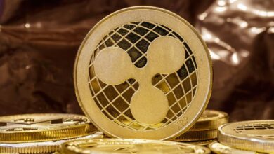 XRP Faces Bearish Pressure; Analysts Warn of Unrealistic Wealth Claims