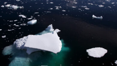 The world’s largest iceberg is rapidly breaking apart and melting away