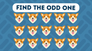 Find the Odd One Out in 20 Seconds — a Speed-Thinking Test