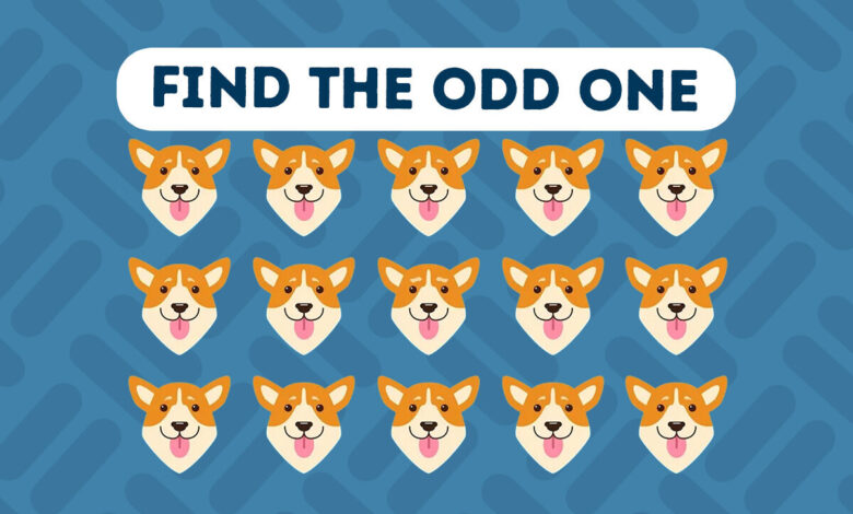 Find the Odd One Out in 20 Seconds — a Speed-Thinking Test