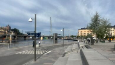 Why Some Swedish AI Tech Investors Welcome A Shakeout