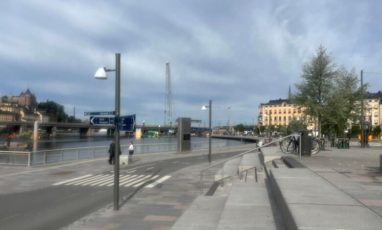 Why Some Swedish AI Tech Investors Welcome A Shakeout