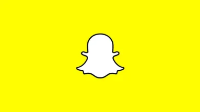 Snapchat Users Took a Trillion Selfies Last Year