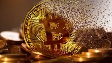Crypto Funds Hit New Highs as Bitcoin ETFs Continue Their Streak