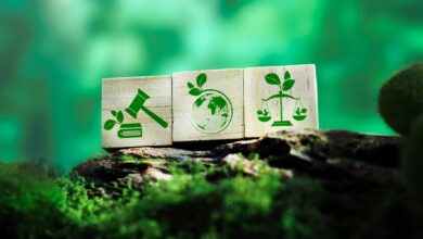 EUDR: How companies can ensure Indigenous rights are protected