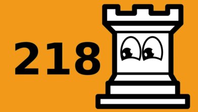 No reachable chess position with more than 218 moves