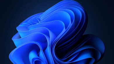 Windows 11’s Photos app tests ‘auto-categorization’ of images using AI