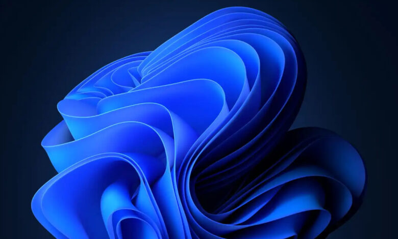 Windows 11’s Photos app tests ‘auto-categorization’ of images using AI