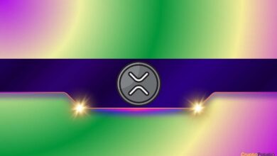 XRP’s Crucial Price Gap – What It Means for Ripple’s Future