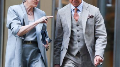 Meryl Streep Appears to Attend a Very Real Fashion Show as Miranda Priestly