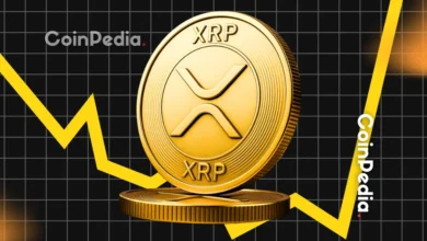 XRP Price To Hit $20-$30 by 2026, Says Top Analyst