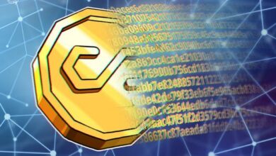 Stripe’s new tool can make stablecoins ‘with just a few lines of code’