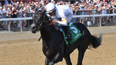 It’s Our Time brings the hype into Champagne Stakes