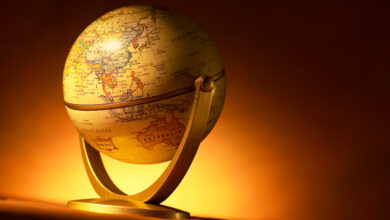 UK import controls criticized as ‘inadequate’