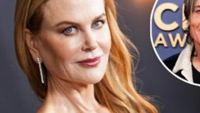 Nicole Kidman Makes First Public Appearance Amid Keith Urban Divorce